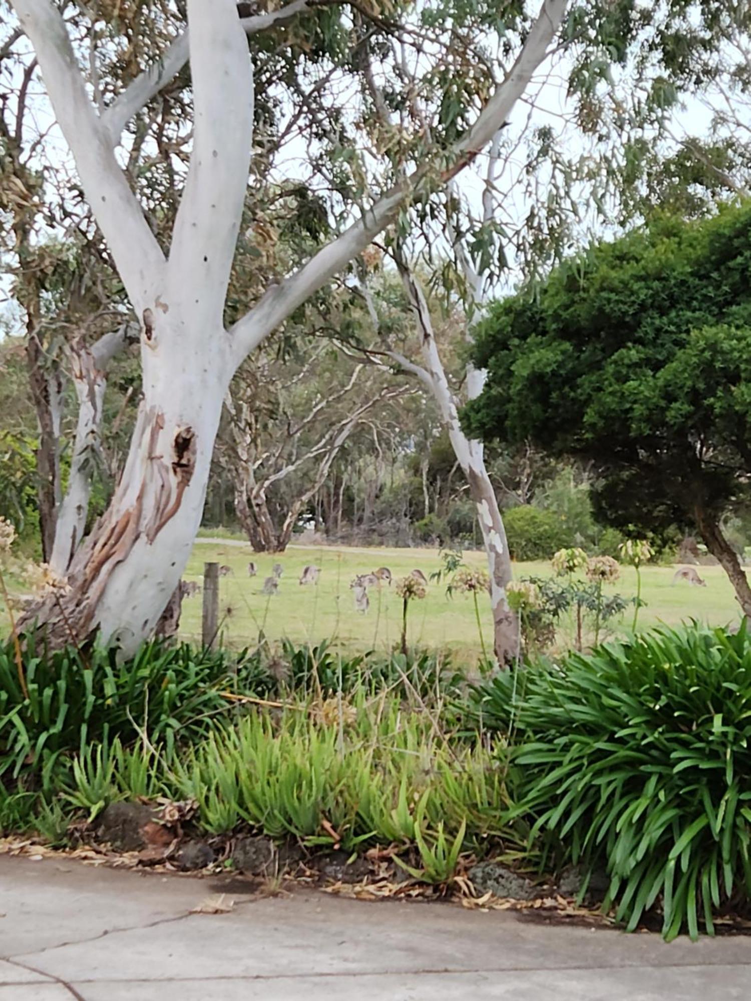 Green Heavan Hotel Greenvale Exterior photo